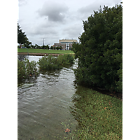 Hurricane Florence  image